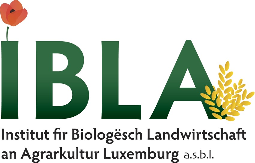 Logo of IBLA